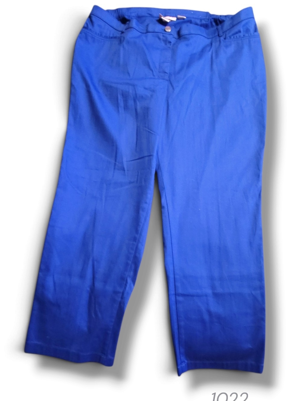 TanJay - 22W Wide-Leg Pants in Bright Blue